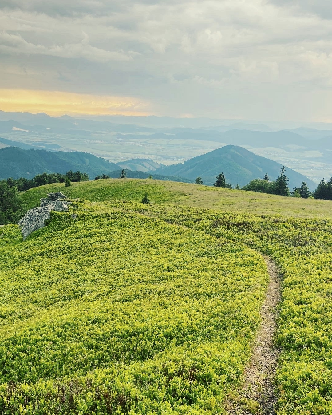 Cesta po hrebeni nad vysielačom Krížava, Martinské Hole